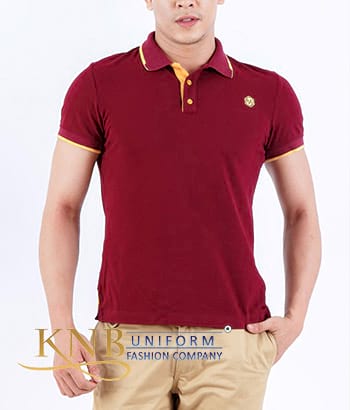 Polo 04